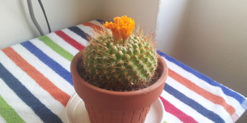 メールお問合せイメージ